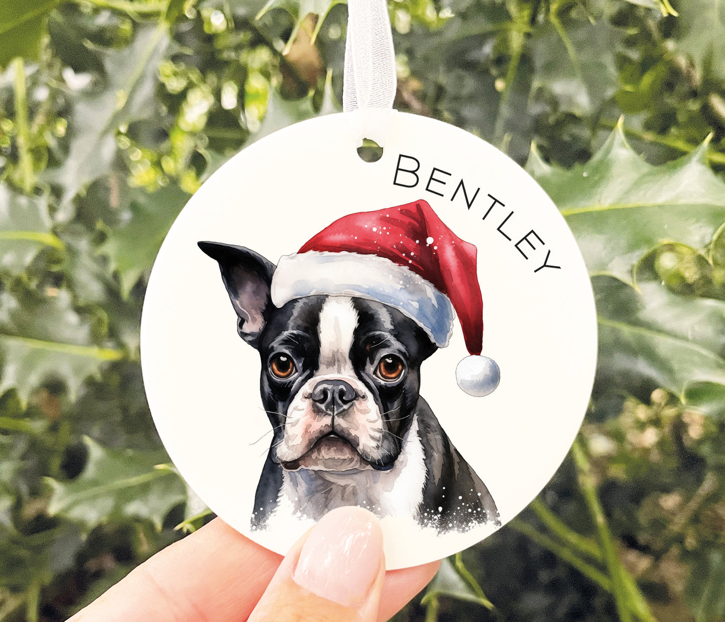 Santa Dog Bauble