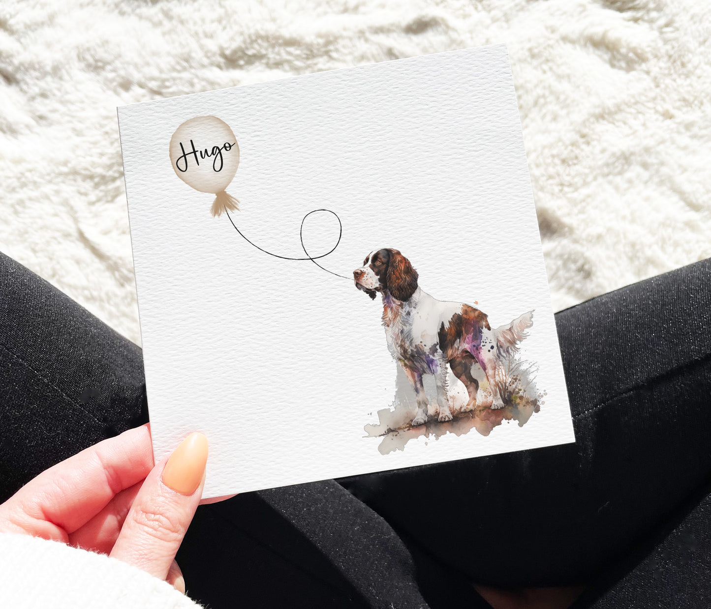 Springer Spaniel Birthday Card