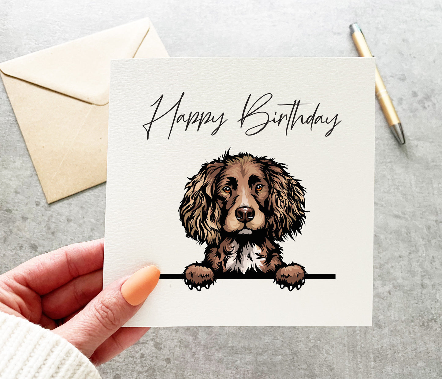 Chocolate Spaniel Birthday Card