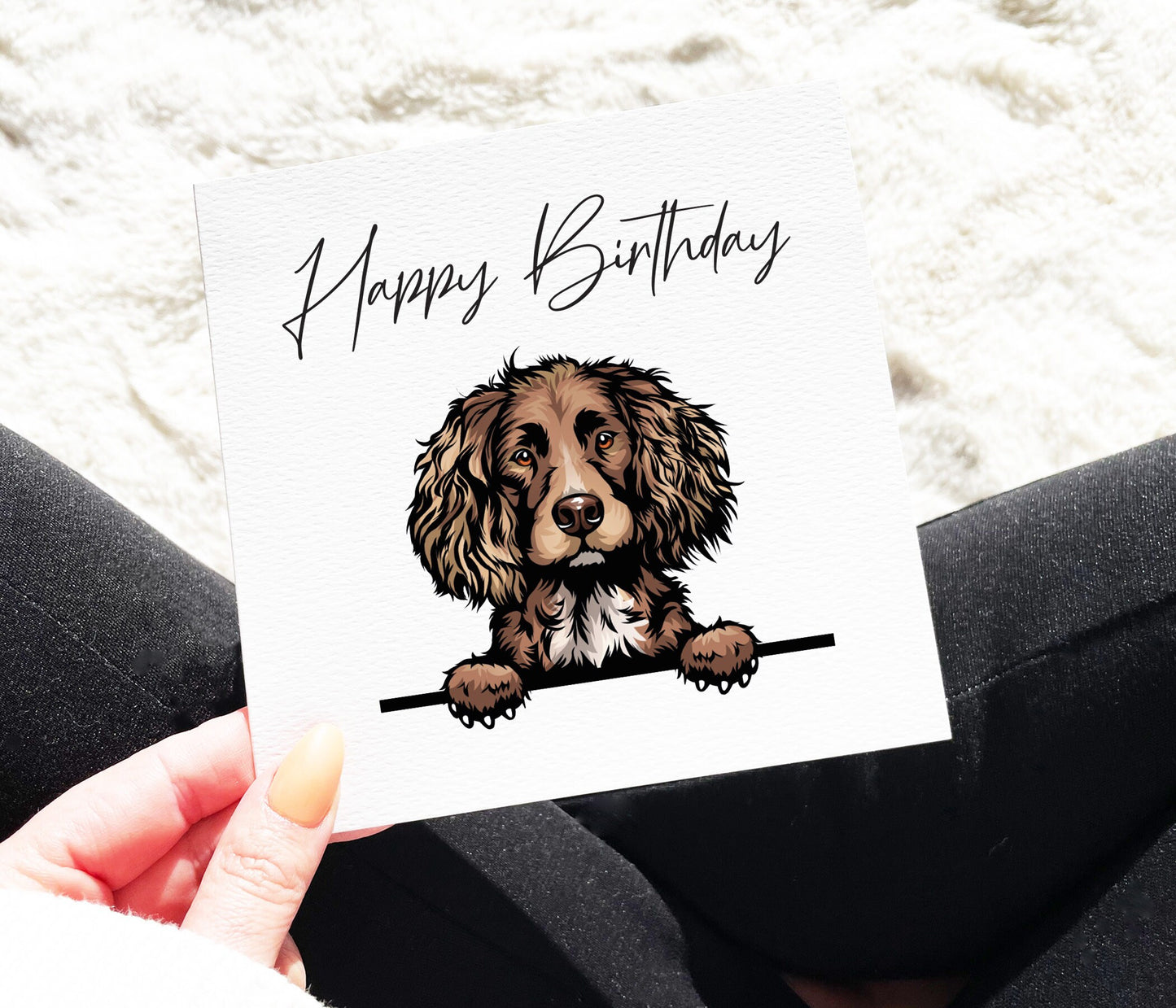 Chocolate Spaniel Birthday Card