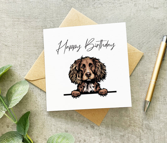 Chocolate Spaniel Birthday Card